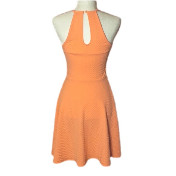 Mossimo Garden Party Dress - Picture 2 of 4